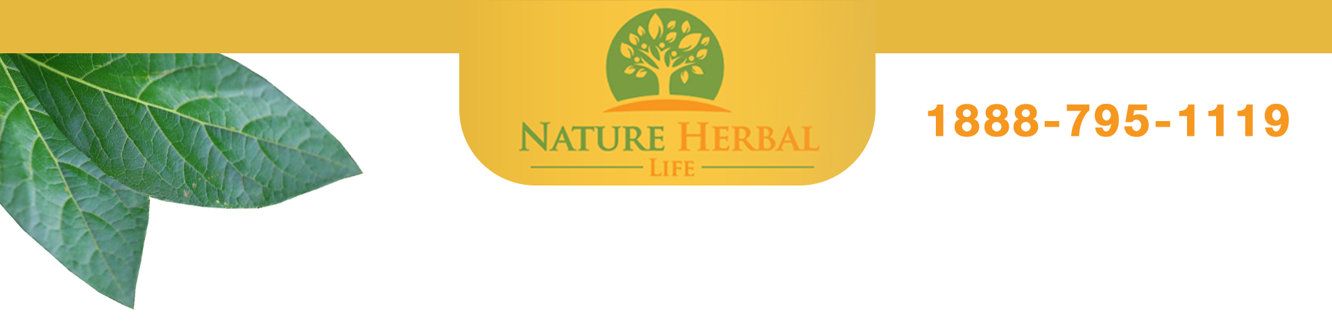Nature Herbal Life